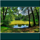 WhatsApp Image 2024-06-11 at 08.59.30(2).jpg